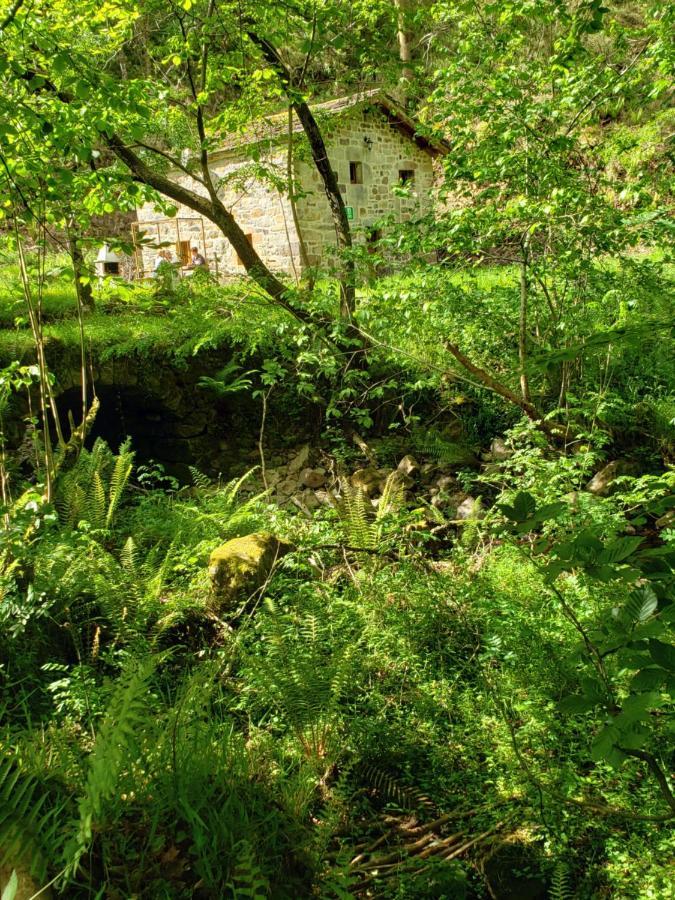 La Cabana Del Rio San Roque de Riomiera Luaran gambar